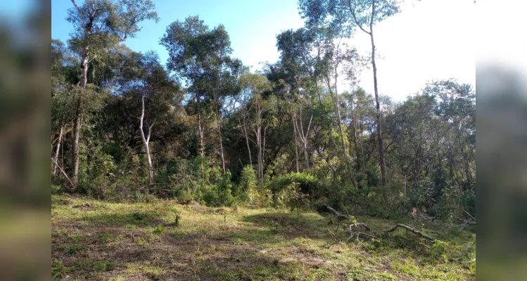 Polícia Ambiental realizou operação em União da Vitória |