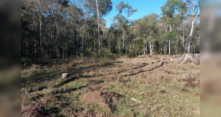 Polícia Ambiental realizou operação em União da Vitória |