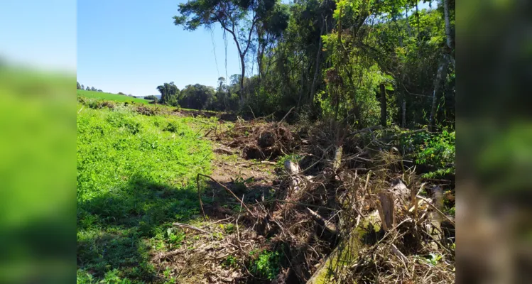 Homem é multado em R$ 20 mil após denúncia por danos