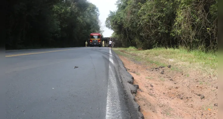 Caminhão tomba e bloqueia totalmente a PR-151, em Palmeira |