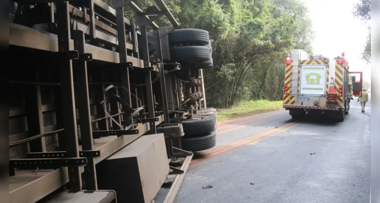 Caminhão tomba e bloqueia totalmente a PR-151, em Palmeira |