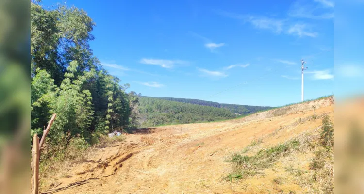 Dois proprietários são multados por danos em vegetação nativa