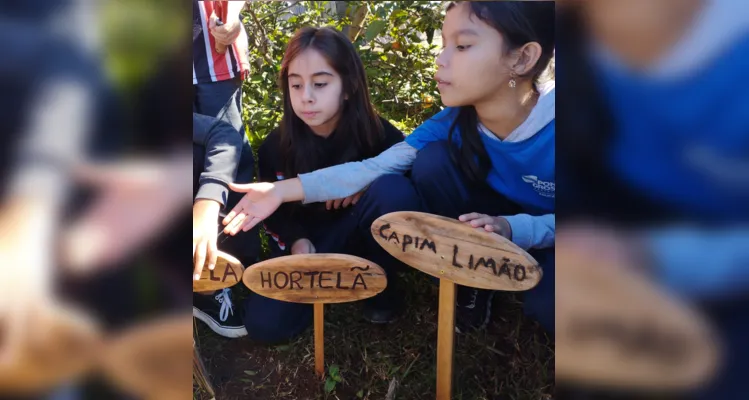 Através das atividades, a classe pode se empenhar de forma prática no combate à dengue.