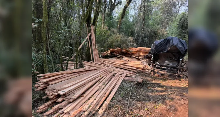 O crime foi constatado em Prudentópolis