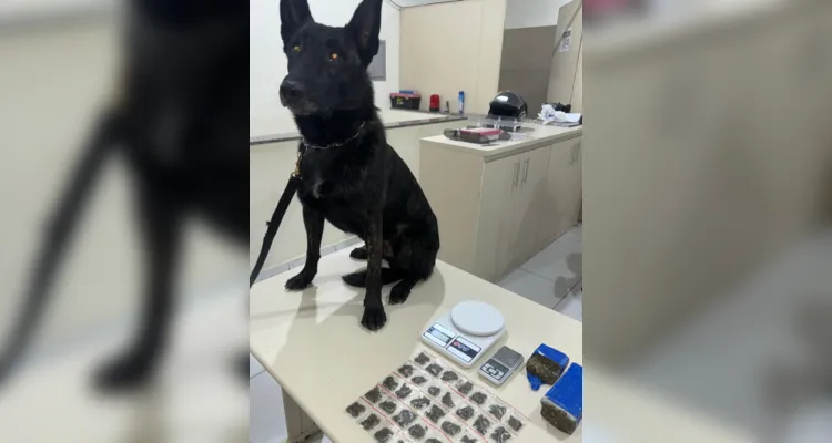 Homem é preso por tráfico de drogas em Telêmaco Borba