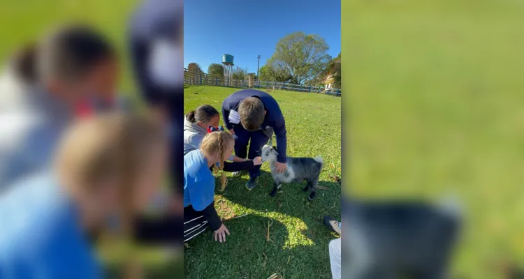 A proposta possibilitou a interação direta com os animais.