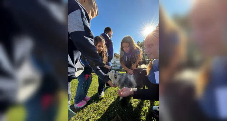 A proposta possibilitou a interação direta com os animais.