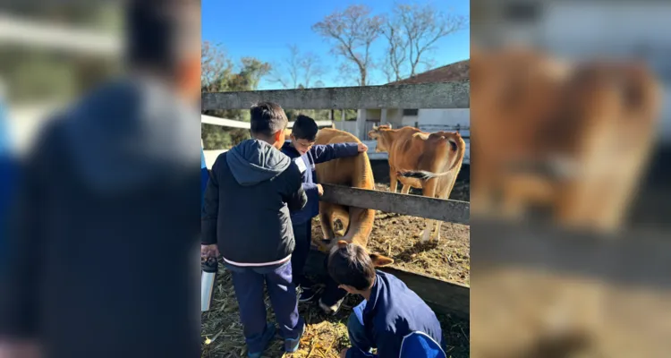 A proposta possibilitou a interação direta com os animais.