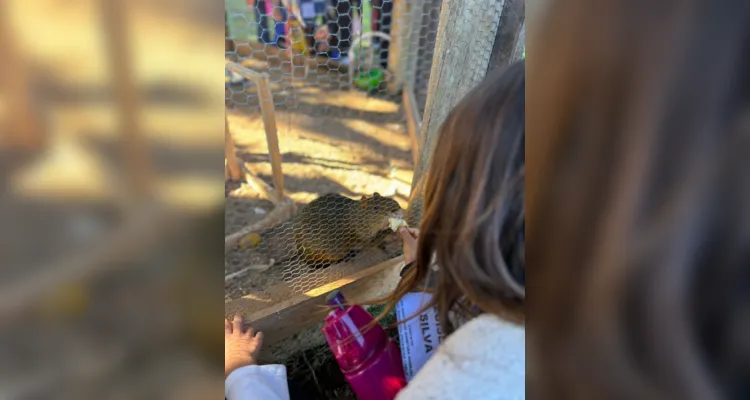 A proposta possibilitou a interação direta com os animais.