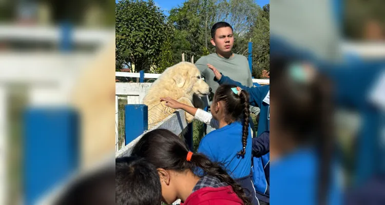 A proposta possibilitou a interação direta com os animais.