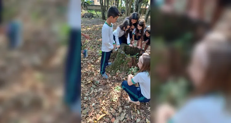 Educandos puderam desenvolver práticas dentro e fora da sala de aula.