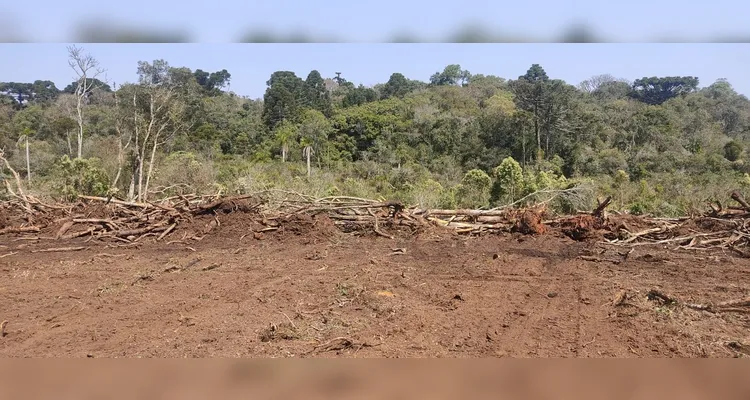 Proprietário rural é multado em mais de R$ 30 mil por danos