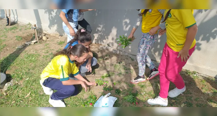 A turma também realizou tarefas como cruzadinhas e caça-palavras e ações práticas como o plantio de mudas.