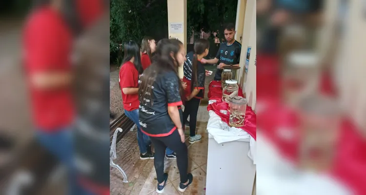 A participação no evento permitiu aos alunos conhecer espécies locais e medidas corretas em caso de acidentes.