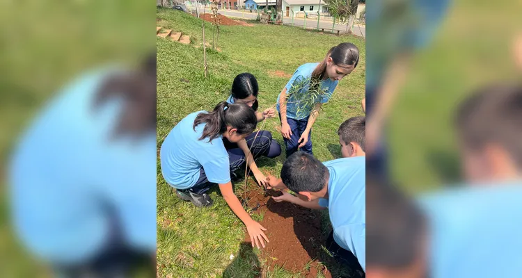 Como atividade prática, a classe foi até o jardim da escola e realizou o plantio de árvores para celebrar a data.