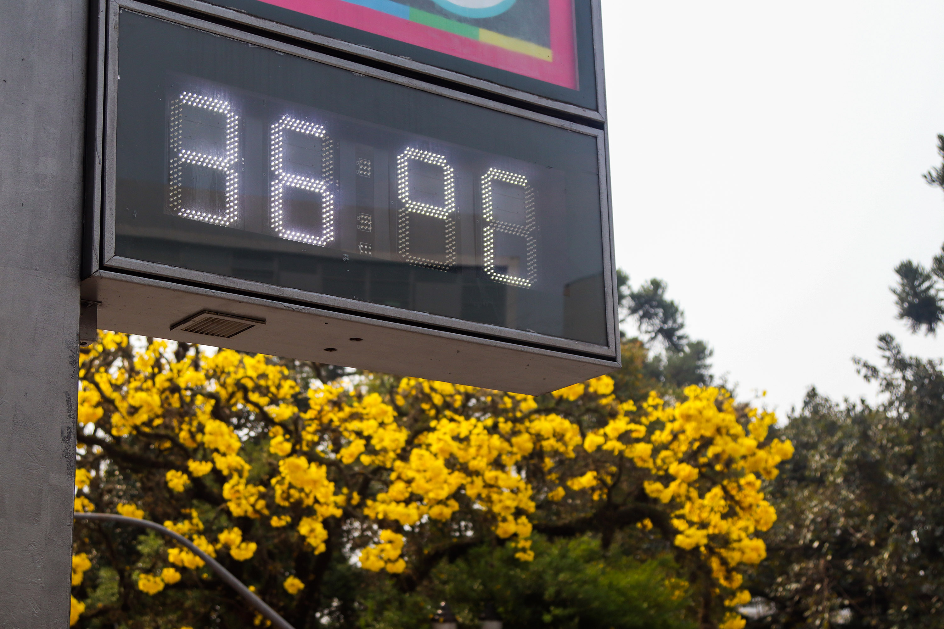 A temperatura máxima média vai chegar próximo a 40ºC em alguns pontos do Estado.