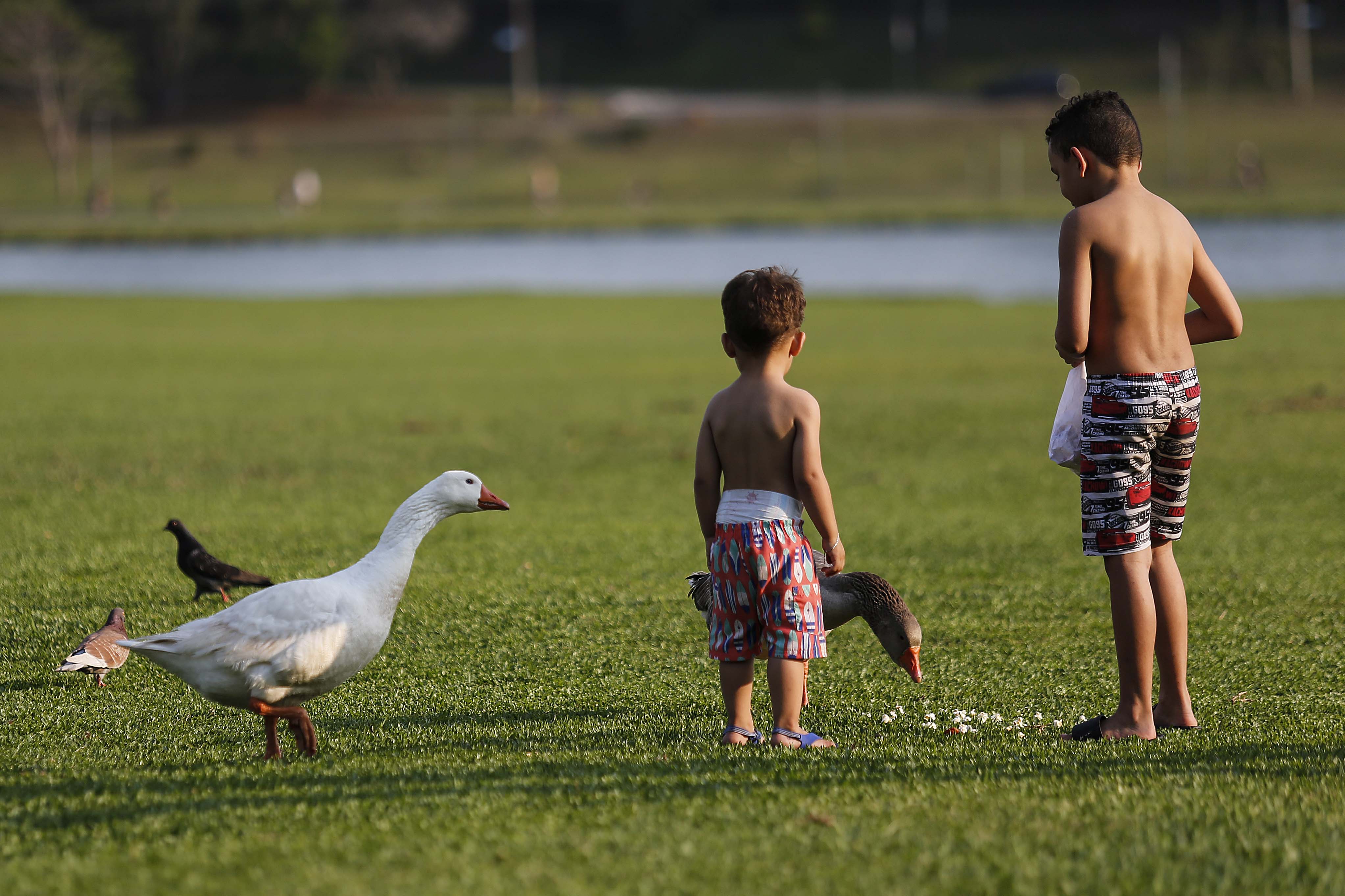 A sequência de dias com altas temperaturas e baixa umidade relativa do ar pode trazer graves riscos.