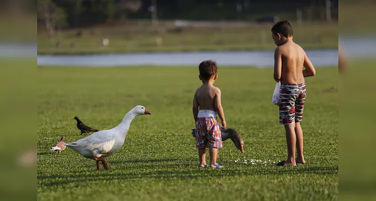 A sequência de dias com altas temperaturas e baixa umidade relativa do ar pode trazer graves riscos.