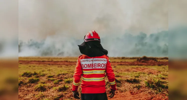 Historicamente, o mês de agosto costuma ter estatísticas elevadas nesse quesito.