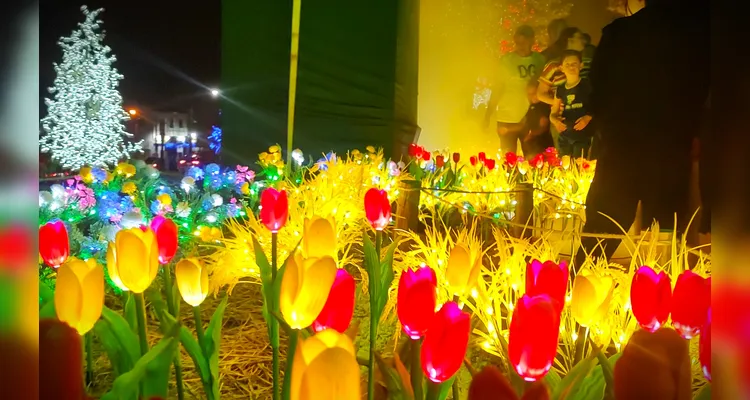 ‘Bosque de Luz’ traz a magia do Natal a Ponta Grossa; veja vídeos