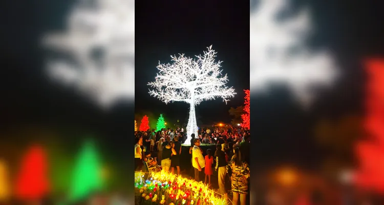 ‘Bosque de Luz’ traz a magia do Natal a Ponta Grossa; veja vídeos