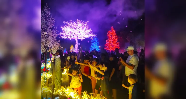 ‘Bosque de Luz’ traz a magia do Natal a Ponta Grossa; veja vídeos