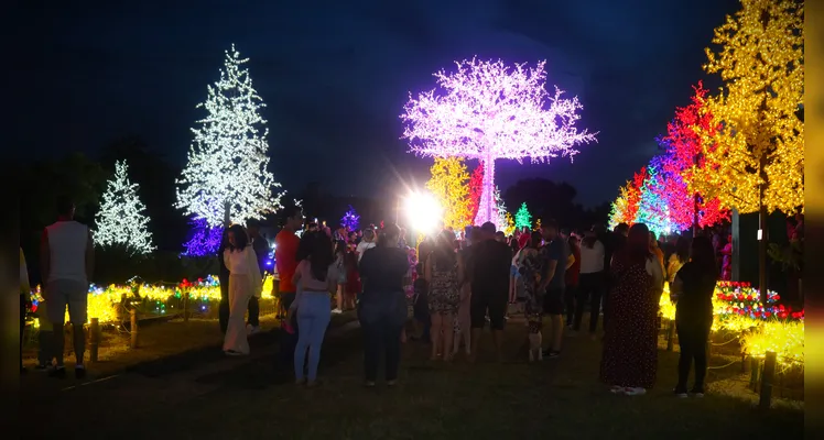 ‘Bosque de Luz’ traz a magia do Natal a Ponta Grossa; veja vídeos