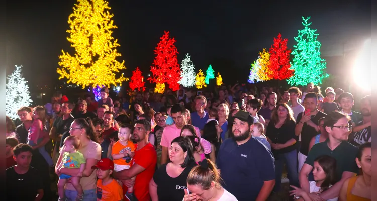 ‘Bosque de Luz’ traz a magia do Natal a Ponta Grossa; veja vídeos