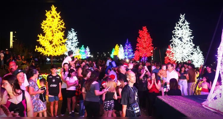 ‘Bosque de Luz’ traz a magia do Natal a Ponta Grossa; veja vídeos