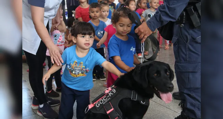 Alunos interagiram com a cão Tokio, integrante do grupamento GOC-K9.