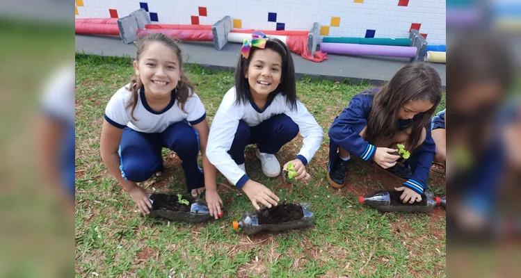 Confira os registros do amplo trabalho realizado e protagonizado pelos estudantes.