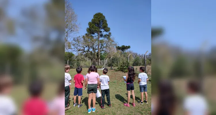 Confira a diversidade de trabalhos realizados pelos educandos.