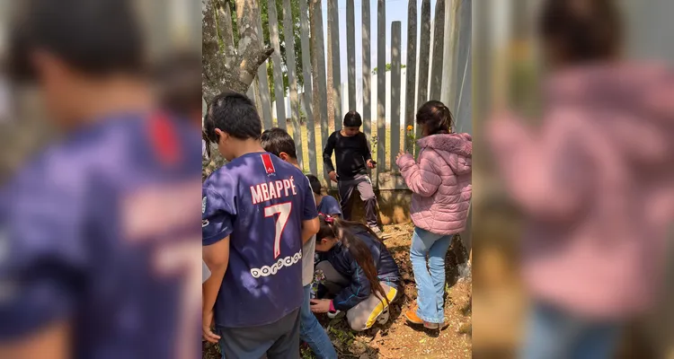 Confira o amplo trabalho realizado pelos educandos.