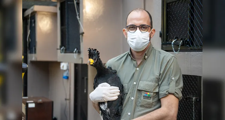 Pedro Telles, médico veterinário da Divisão de Áreas Protegidas da Itaipu.