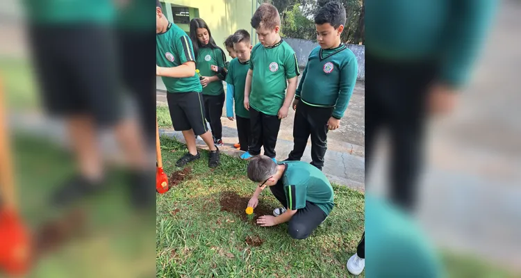 Confira como foram as ações práticas dos estudantes.