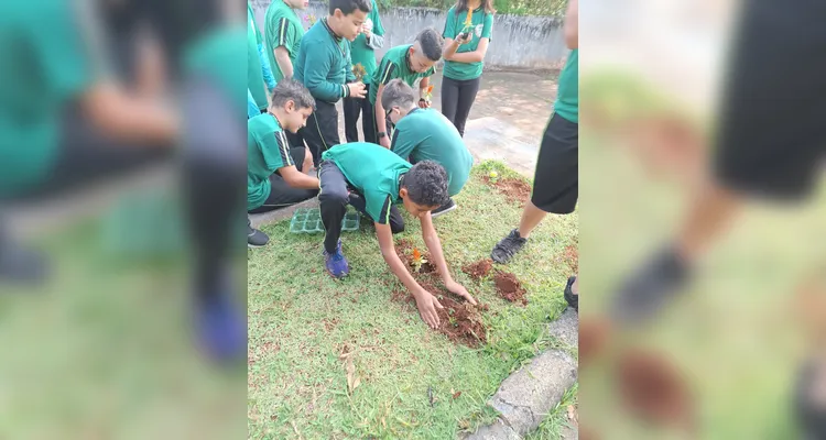 Confira como foram as ações práticas dos estudantes.