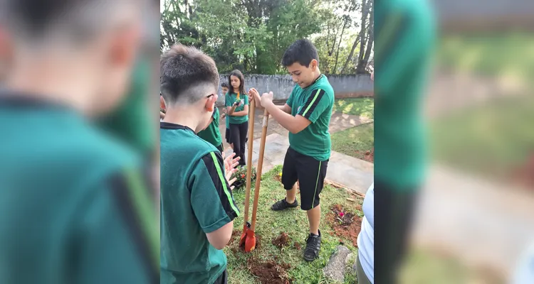 Confira como foram as ações práticas dos estudantes.