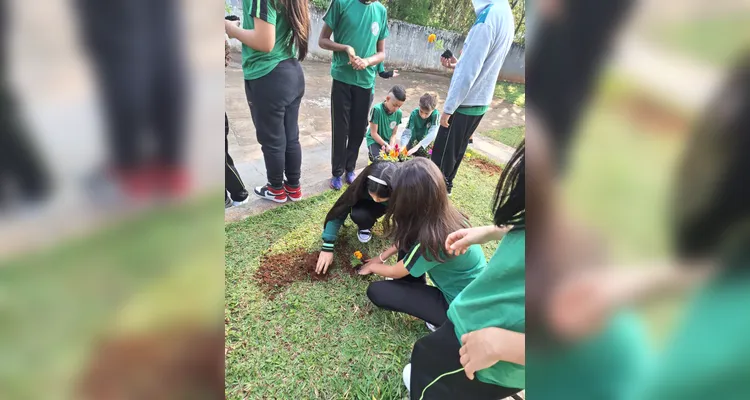 Confira como foram as ações práticas dos estudantes.