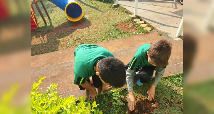 Confira como foram as ações práticas dos estudantes.