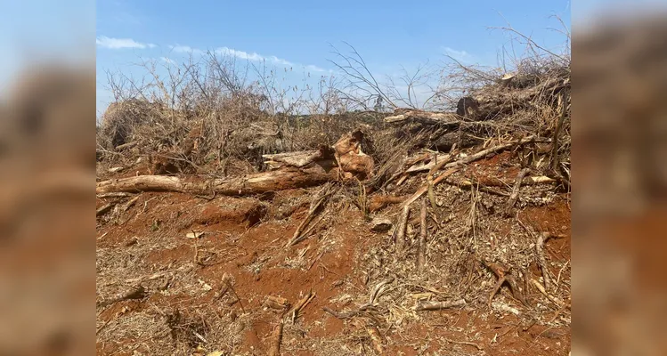 Proprietário é multado em R$ 35 mil por danos ambientais na região