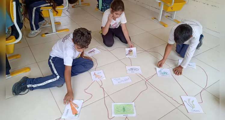 Práticas contribuíram para fixação de importantes conteúdos em sala.