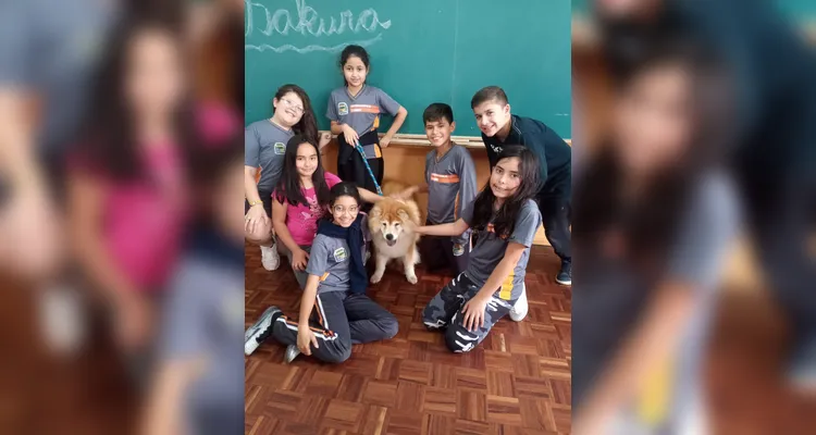 Confira os registros dos alunos com seus pets em sala e em casa.