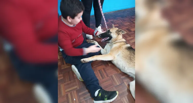 Confira os registros dos alunos com seus pets em sala e em casa.