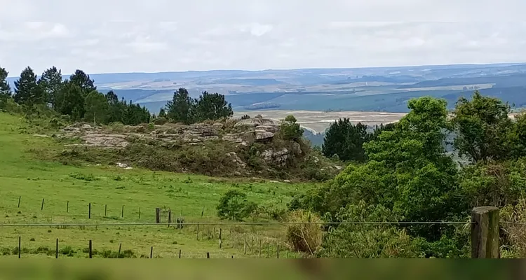 Confira os registros em sala e realizados pelos educandos sobre os tópicos ambientais.