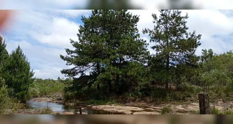 Confira os registros em sala e realizados pelos educandos sobre os tópicos ambientais.