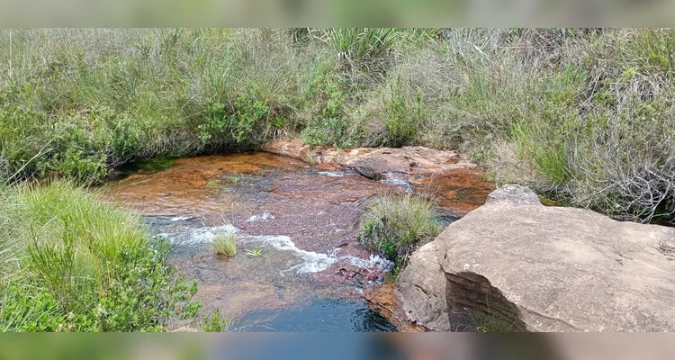 Confira os registros em sala e realizados pelos educandos sobre os tópicos ambientais.