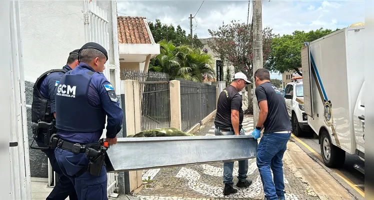 Médico é preso em PG suspeito de matar a própria mãe