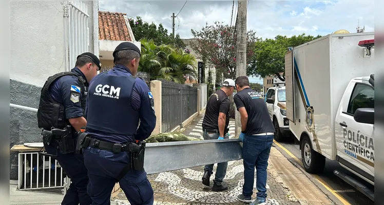 Médico é preso em PG suspeito de matar a própria mãe