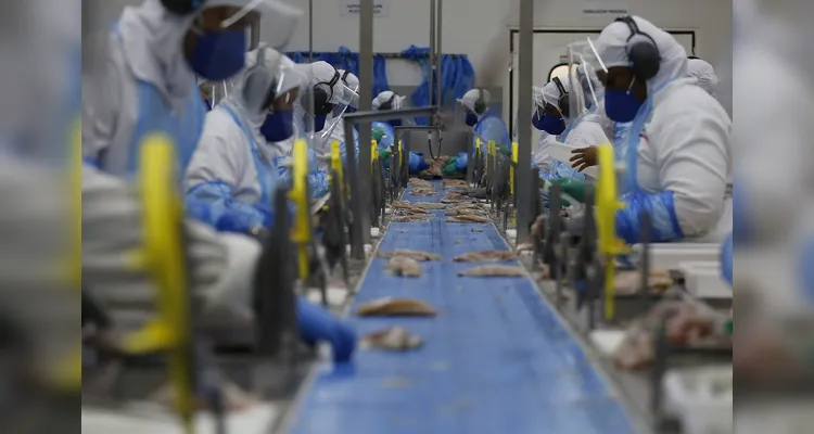 Companhias que têm participação do Estado também estão presentes entre as maiores do País.