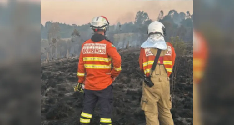 Aviões contratados pelo PR reforçam combates a incêndios em PG